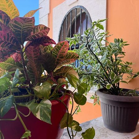 Hotel Casa Mallorca Cancún Eksteriør billede