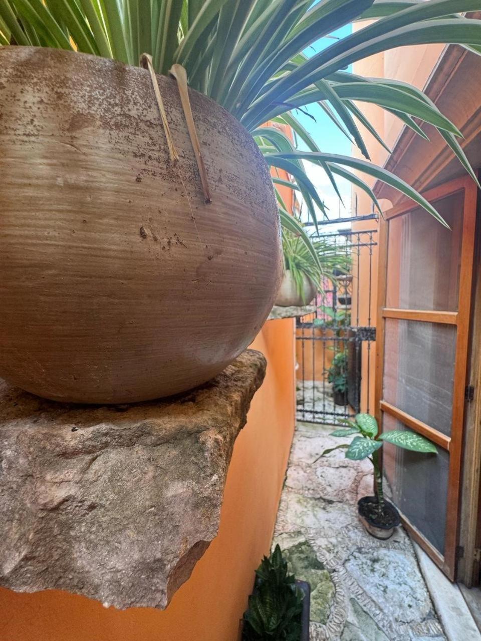 Hotel Casa Mallorca Cancún Eksteriør billede