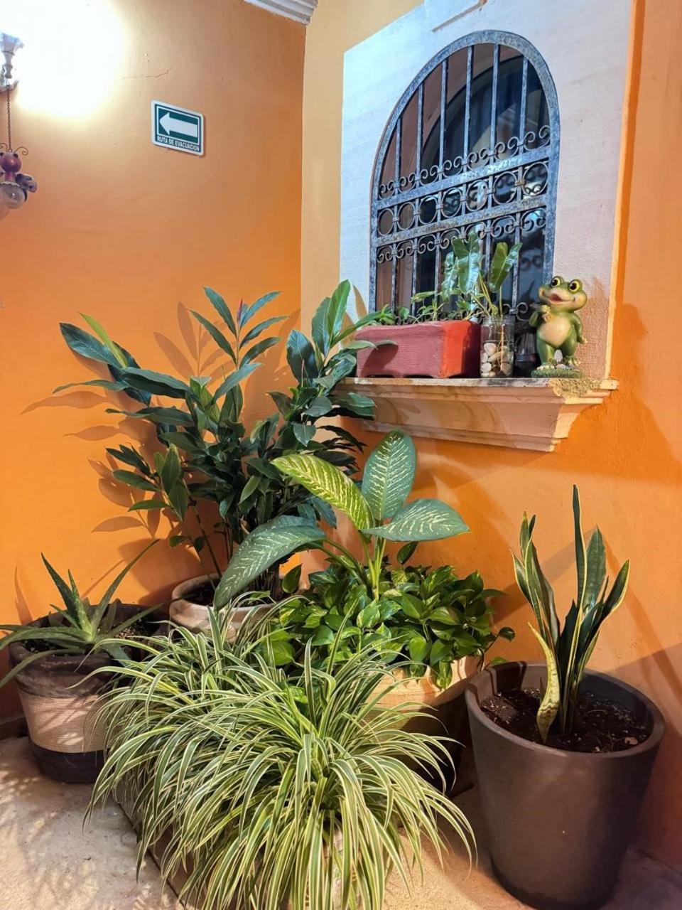 Hotel Casa Mallorca Cancún Eksteriør billede