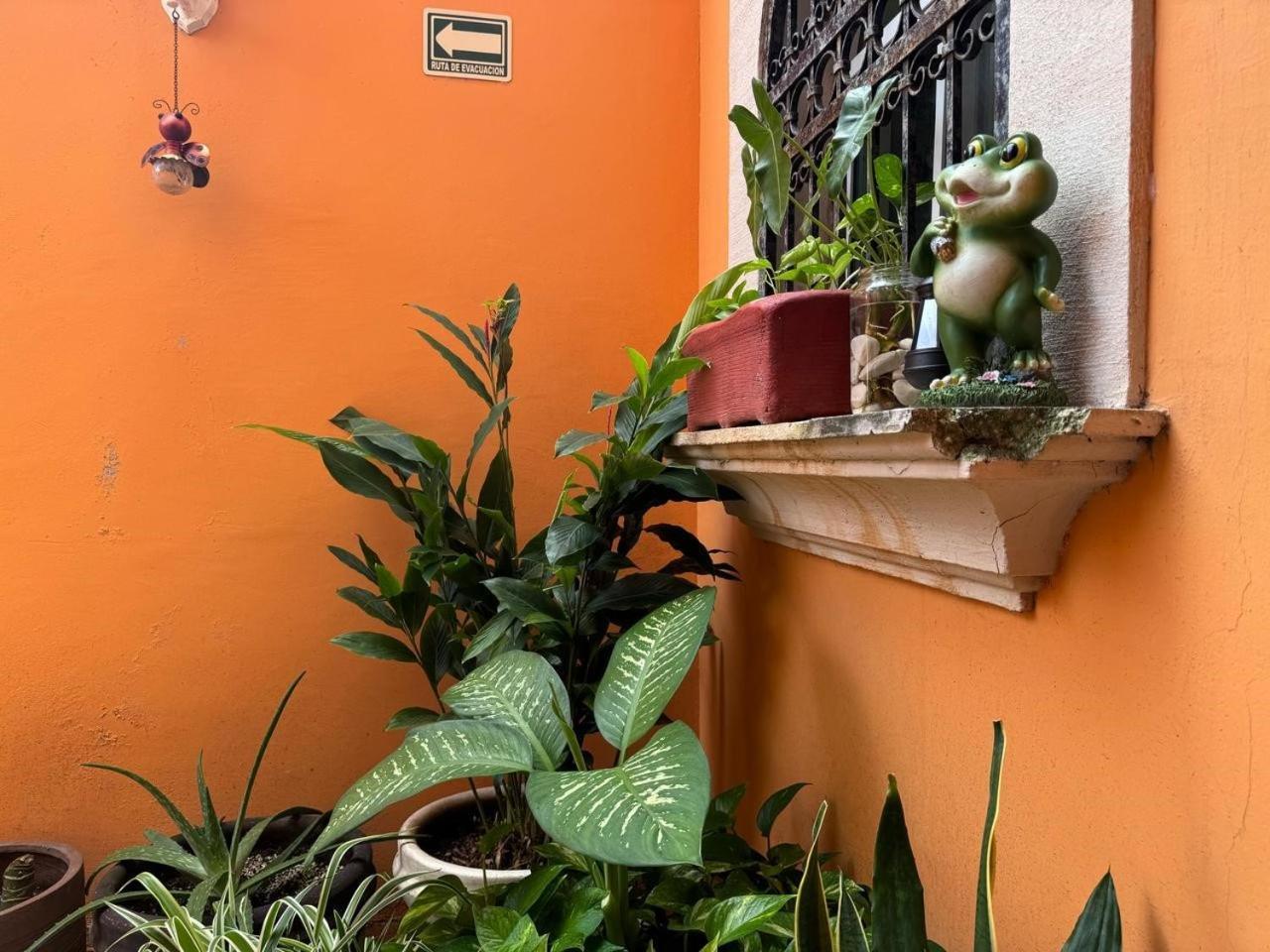 Hotel Casa Mallorca Cancún Eksteriør billede