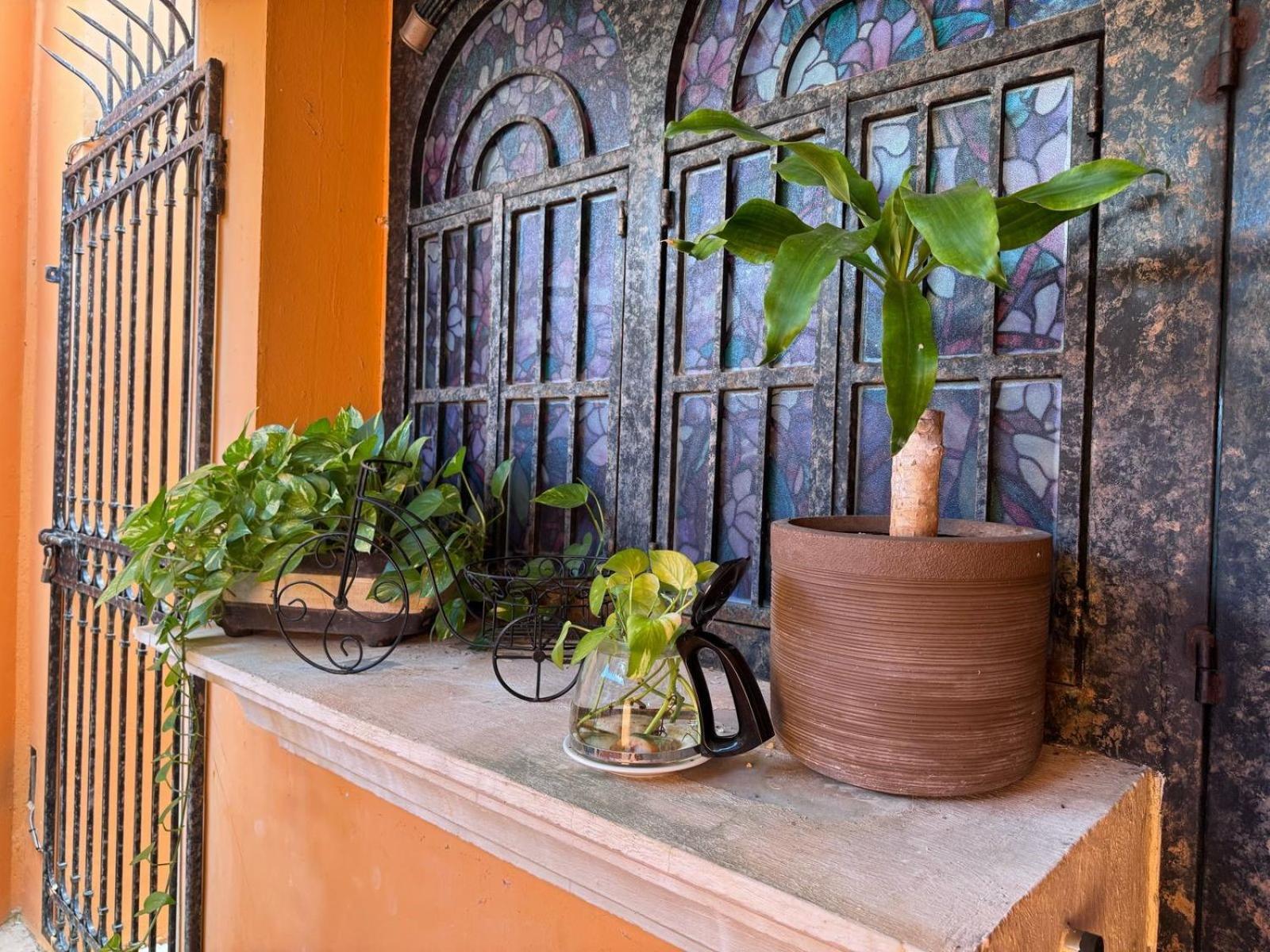 Hotel Casa Mallorca Cancún Eksteriør billede